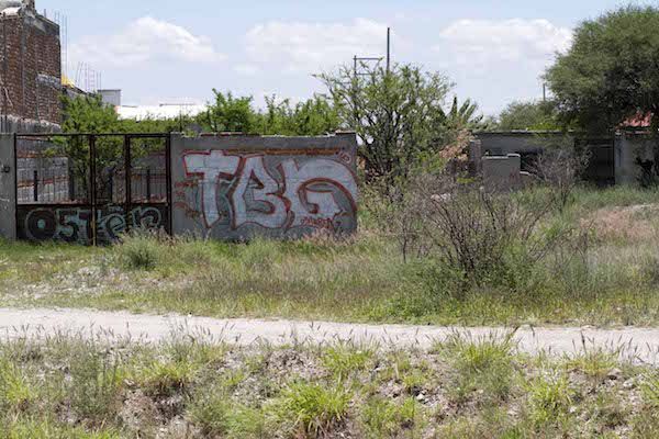 Eduardo Trejo/Obture Press Agency