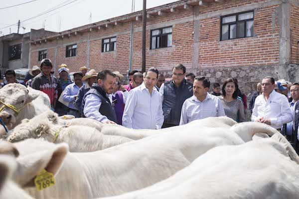 Gobiernos Municipal y Estatal suman esfuerzos a favor del campo sanjuanense 1 Gobiernos Municipal y Estatal suman esfuerzos a favor del campo sanjuanense 1