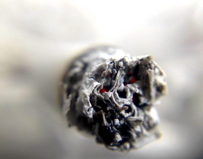 Marihuana - 192 millones la consumieron en 2016 2 Marihuana - 192 millones la consumieron en 2016