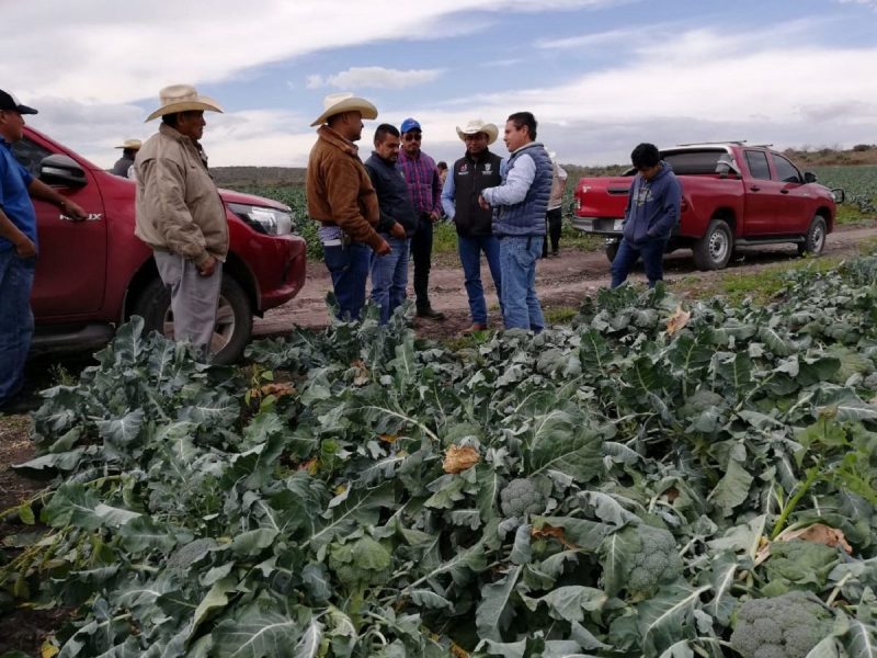 Presentan a productores de Ecobedo reconversión productiva