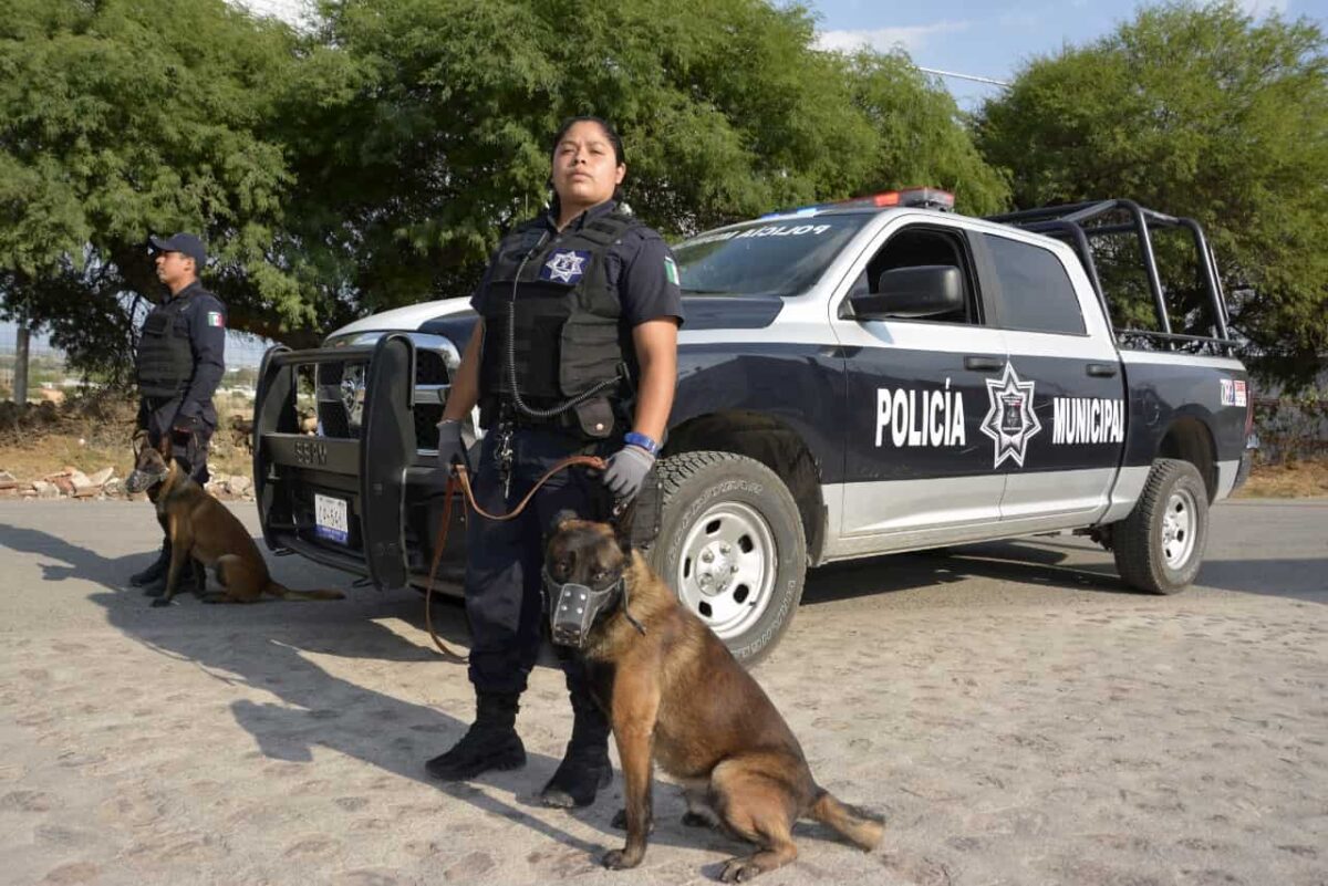 Tequisquiapan listo con operativo de seguridad por Buen Fin 1 Tequisquiapan listo con operativo de seguridad por Buen Fin
