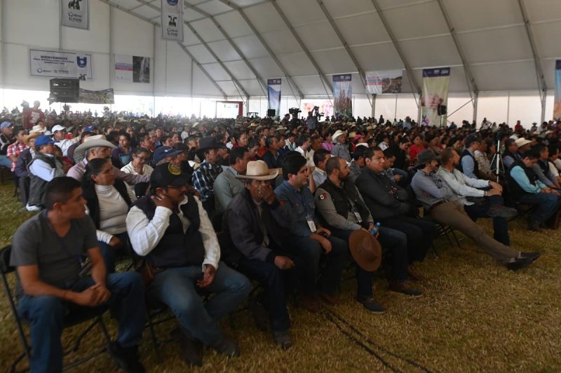 Entrega Gobernador apoyos por más de 96 mdp a 4 mil familias productoras Entrega Gobernador apoyos por más de 96 mdp a 4 mil familias productoras