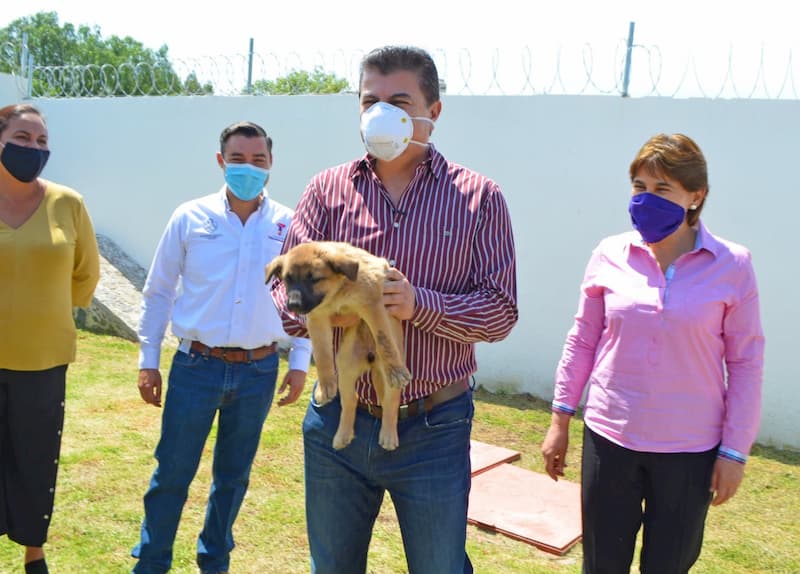 Inauguran Centro de Salud y Bienestar Animal en Tequisquiapan, Querétaro 3 Inauguran Centro de Salud y Bienestar Animal en Tequisquiapan, Querétaro