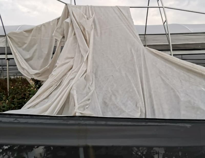 Tornado arrasa con invernaderos en El Organal, SJR Querétaro