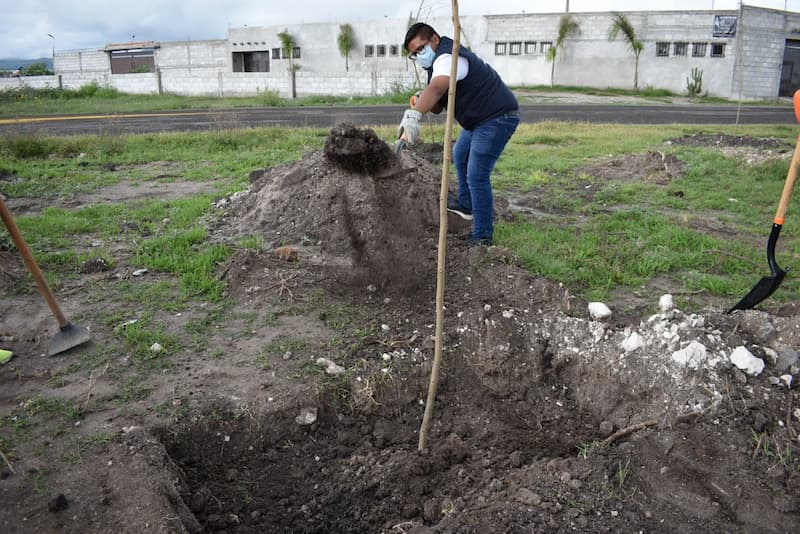 Sigue la reforestación del Libramiento Bicentenario en Pedro Escobedo 1 Sigue la reforestación del Libramiento Bicentenario en Pedro Escobedo
