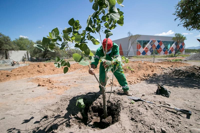 Buscan consolidar Centro Municipal de Cultura Ambiental en SJR para 2021