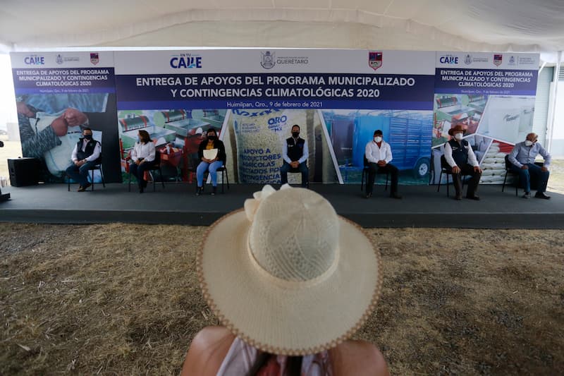 Gobernador Francisco Domínguez fortalece actividad agropecuaria en Huimilpan
