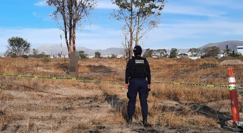 Hombre se suicida colgándose de un árbol en Los Olivos SJR 1