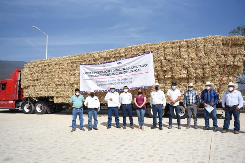 Otorgan apoyos por mas de 2.4 mdp a productores ganaderos de la sierra queretana