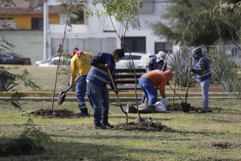 Reconocen como “Ciudad Árbol” a municipio de Querétaro