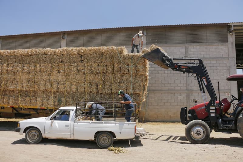 Vero Hernández asistió a la entrega de apoyos a productores agrícolas en comunidades de Amealco