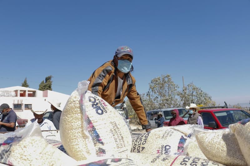 Vero Hernández asistió a la entrega de apoyos a productores agrícolas en comunidades de Amealco