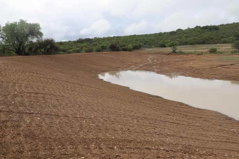 Supervisa SEDEA obras de desazolve en bordos de Tequisquiapan y SJR