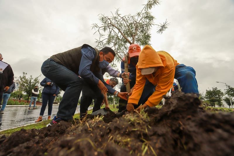 Municipio de Querétaro conmemora el Día Nacional del Árbol