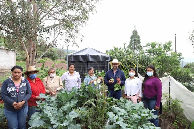 Realizan supervisión de huertos sustentables en El Mezote, Colón