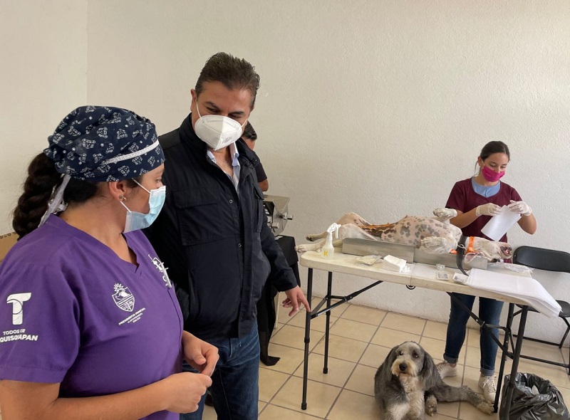Inicia Campaña de Esterilización de Mascotas en Tequisquiapan