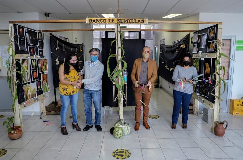 UAQ inaugura exposición “Razas Nativas de Maíz de Querétaro y sus alrededores”