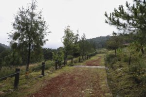 UAQ y Caja Gonzalo Vega, juntos por la preservación del medio ambiente