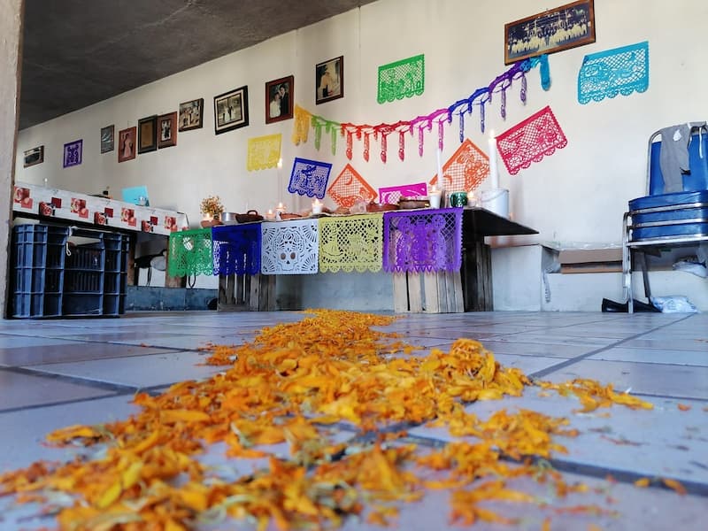 México es un país lleno de tradiciones y cultura, pero el Día de Muertos supera las fronteras y cualquier festividad