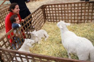 Regresará feria ganadera al municipio de  San Juan del Río, QRO