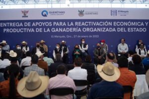 Gobierno de Querétaro entregó 15 mdp para apoyo al sector ganadero