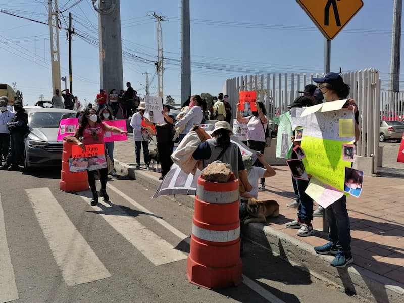 Exigen justicia para animales violentados en San Juan del Río