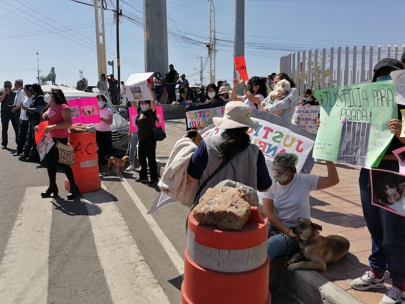 Exigen justicia para animales violentados en San Juan del Río