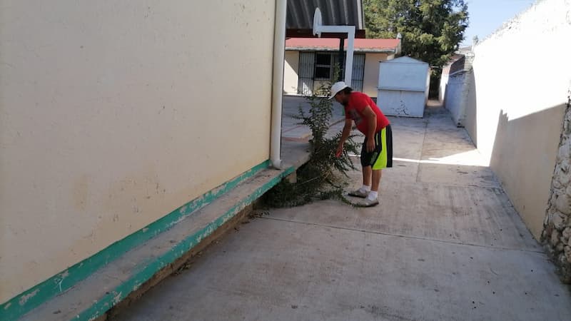 Realizan faena de limpieza en planteles de El Rosario, SJR