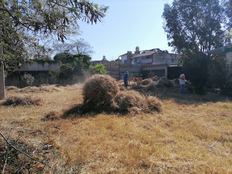 Realizan faena de limpieza en planteles de El Rosario, SJR