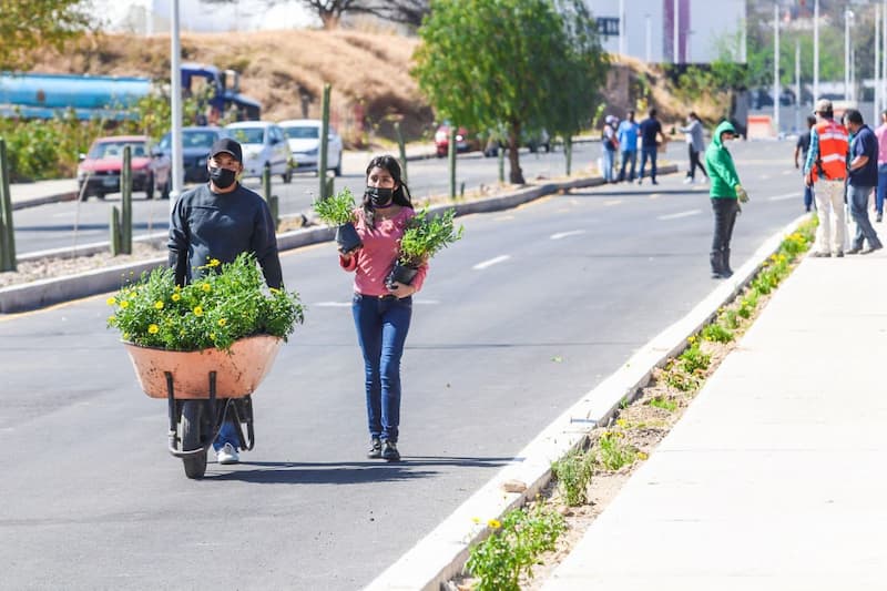 Realizaron 1era reforestación en espacios públicos de San Juan del Río