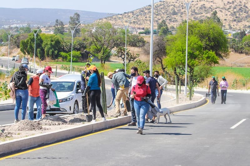 Realizaron 1era reforestación en espacios públicos de San Juan del Río