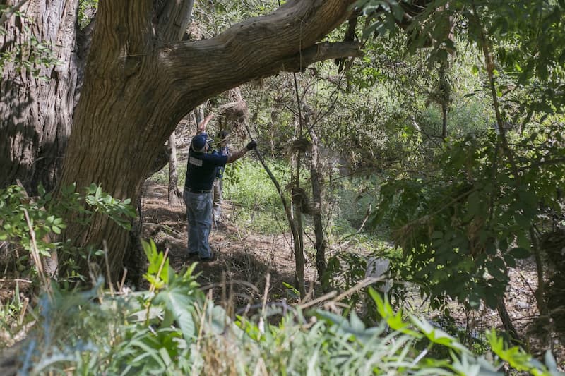 Sociedades civiles planean limpiar 19.5 kilómetros de la Riviera del Río San Juan