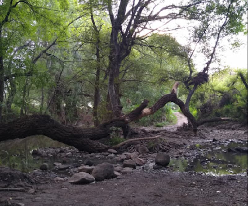 Limpian 20 kilómetros de Río San Juan