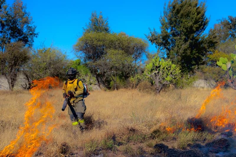 Protección Civil y Bomberos de SJR llaman a prevenir incendios forestales