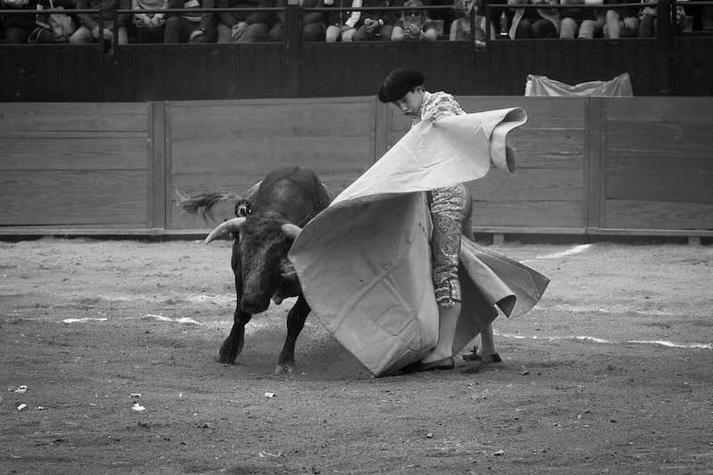 Habrá corrida de toros en Feria San Juan del Río 2022