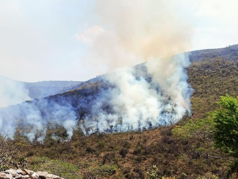 Protección Civil SJR sofoca incendio en Santa Isabel el Coto