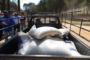 SEDEA entregó más de 13 toneladas de maíz en mpio de San Joaquín