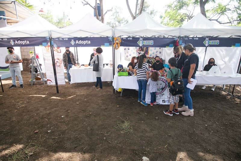 Arranca programa de esterilización en San Juan del Río