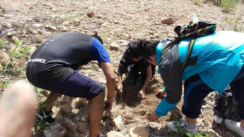 Reforestaciones se detienen por falta de lluvias en San Juan del Río