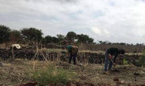 Dan atención a arboles de reforestación en Cuadrilla de Enmedio, San Juan del Río