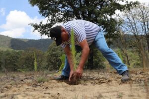 Ejido Perales recibe 518 mil pesos para Jornada de Reforestación