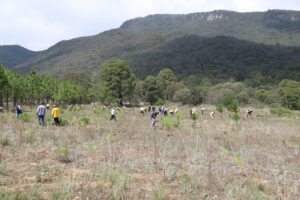 Ejido Perales recibe 518 mil pesos para Jornada de Reforestación