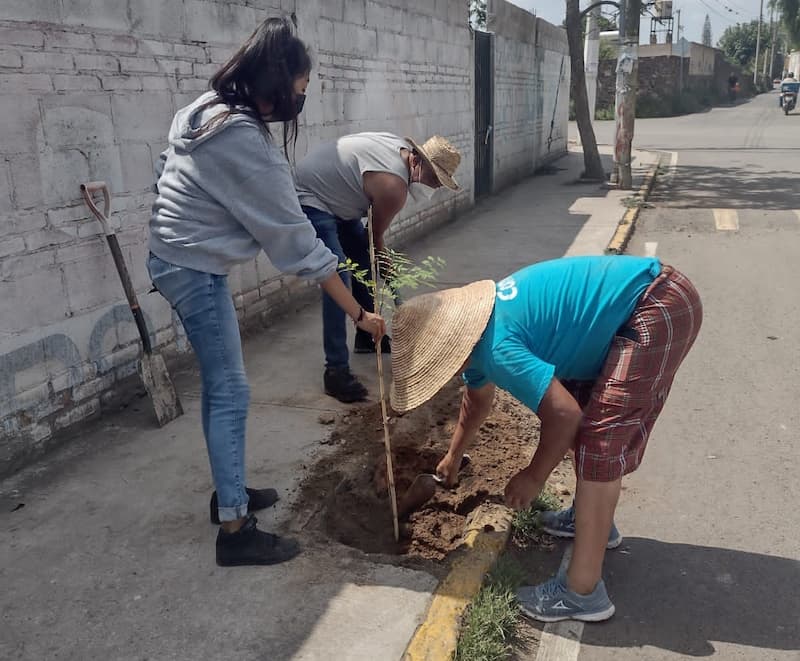 Habitantes de SJR participan en jornadas de intercambio y adopción de árboles