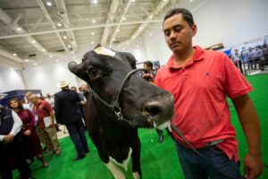 Mauricio Kuri inauguró el Foro Nacional Holstein 2022