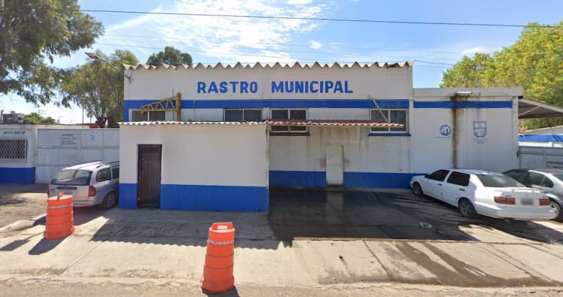 Rastro municipal se debe alinear a mecanismo de trabajo: Roberto Cabrera