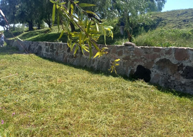 Alistan terreno para reforestar en Dolores Cuadrilla de En Medio, SJR