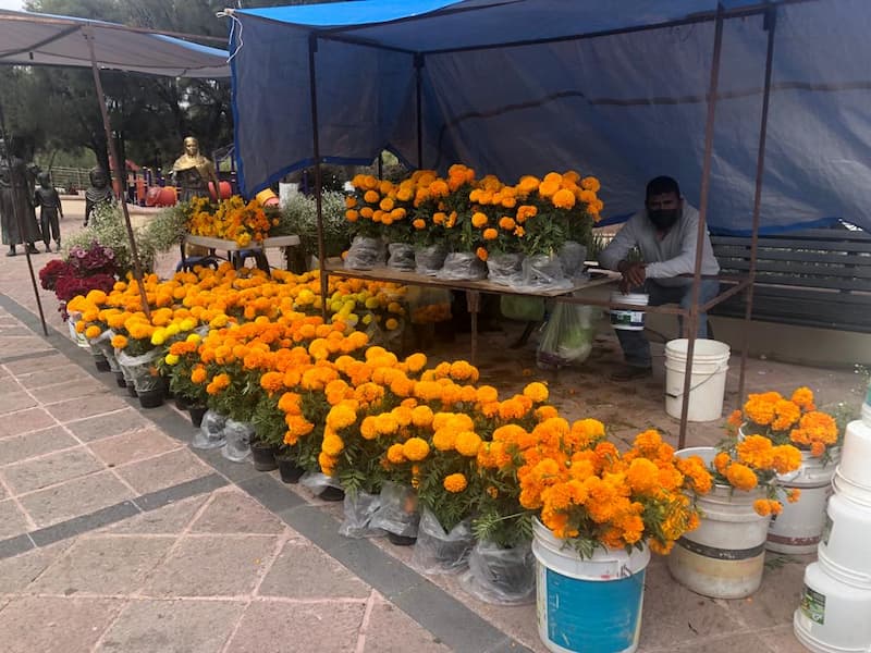 Floristas en San Juan del Río esperan recuperar sus ventas en Día de Muertos