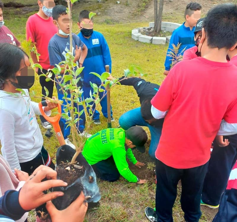 Alumnos realizando reforestación en escuela de Cuadrilla de Enmedio