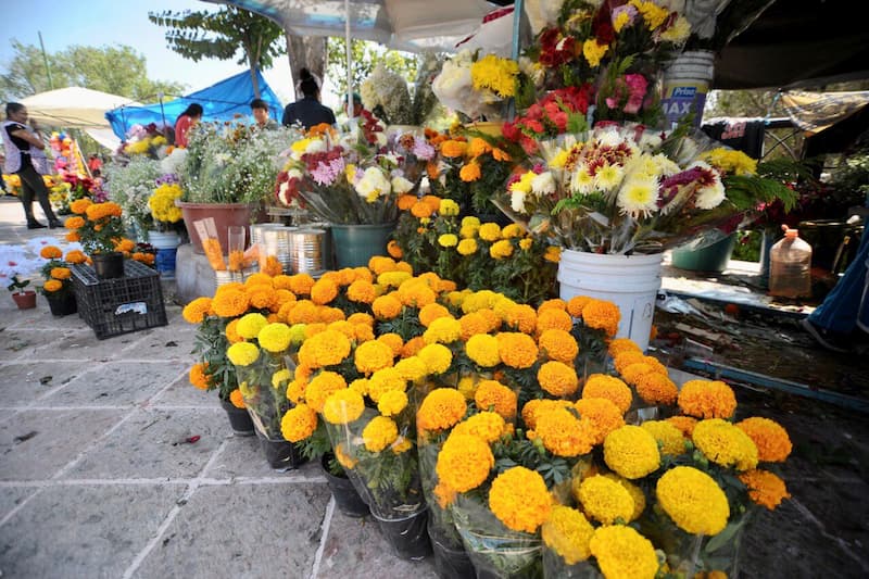 Comerciantes reconocen como acertado el “Pabellón de las Flores” por Día de Muertos