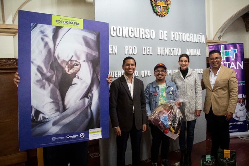 Premian a participantes del 4to concurso de fotografía en pro del bienestar animal